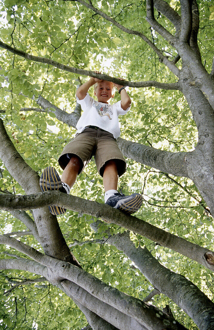  Aussen, Außen, Baum, Bäume, Eine Person, Eins, Einzeln, einzig, Erholen, Erholung, Farbe, Ferien, Freizeit, Froschperspektive, Gefährlich, Junge, Jungen, Kind, Kind (nur), Kinder, Kindheit, Land, Männlich, Mensch, Menschen, Mutwillig, Risiko, Schelmisch,