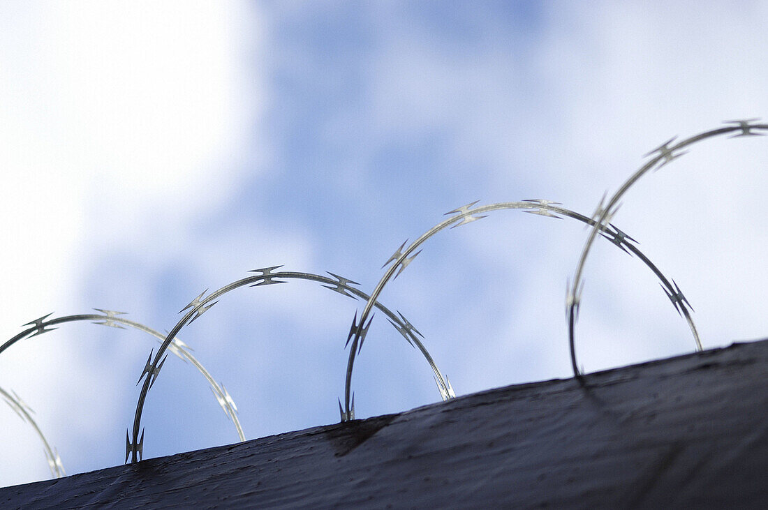  Barbed wire, Close up, Close-up, Closeup, Coil, Coiled, Coils, Color, Colour, Concept, Concepts, Danger, Daytime, Detail, Details, Exterior, Fence, Fences, Hazard, Horizontal, Outdoor, Outdoors, Outside, Razor wire, Security, Symbolic, Wire, Wire fence, 