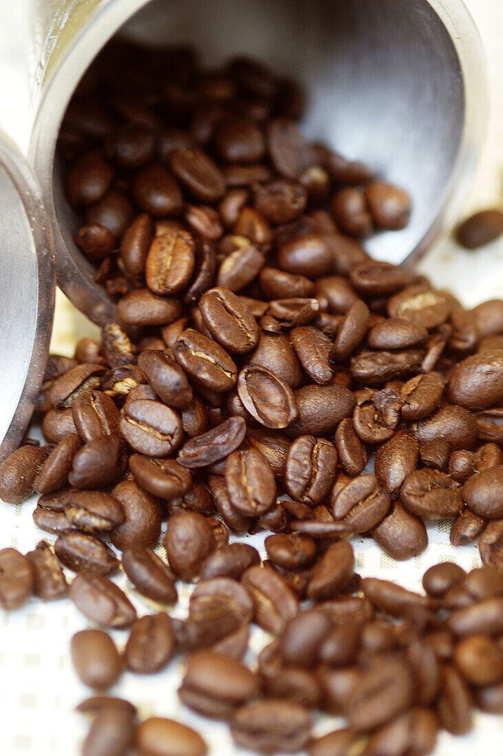  Aliment, Aliments, Close up, Close-up, Closeup, Coffee, Coffee bean, Coffee beans, Color, Colour, Food, Indoor, Indoors, Inside, Interior, Nourishment, Open, Pot, Pots, Still life, Vertical, F58-248971, agefotostock 