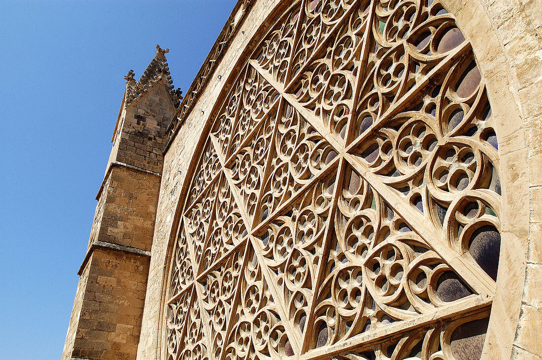 Gothic cathedral. Palma de Mallorca. Majorca, Balearic Islands. Spain