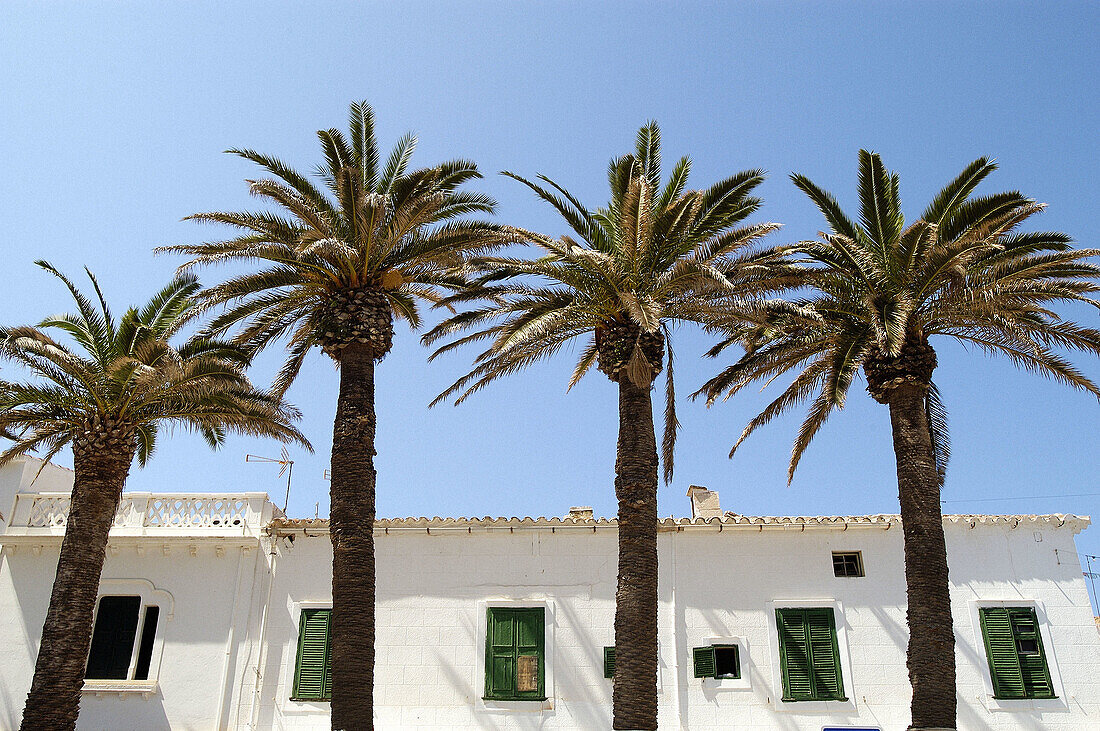 Fornells. Minorca, Balearic Islands. Spain