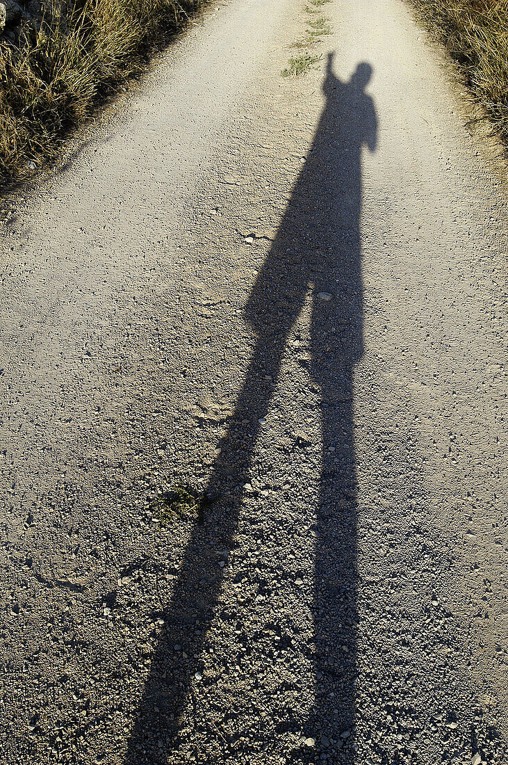  Anonymous, Color, Colour, Contemporary, Daytime, Dirt road, Exterior, Gesture, Gestures, Gesturing, Ground, Grounds, Height, Human, Leisure, Long shadow, Long shadows, One, One person, Outdoor, Outdoors, Outside, People, Person, Persons, Road, Roads, Sha