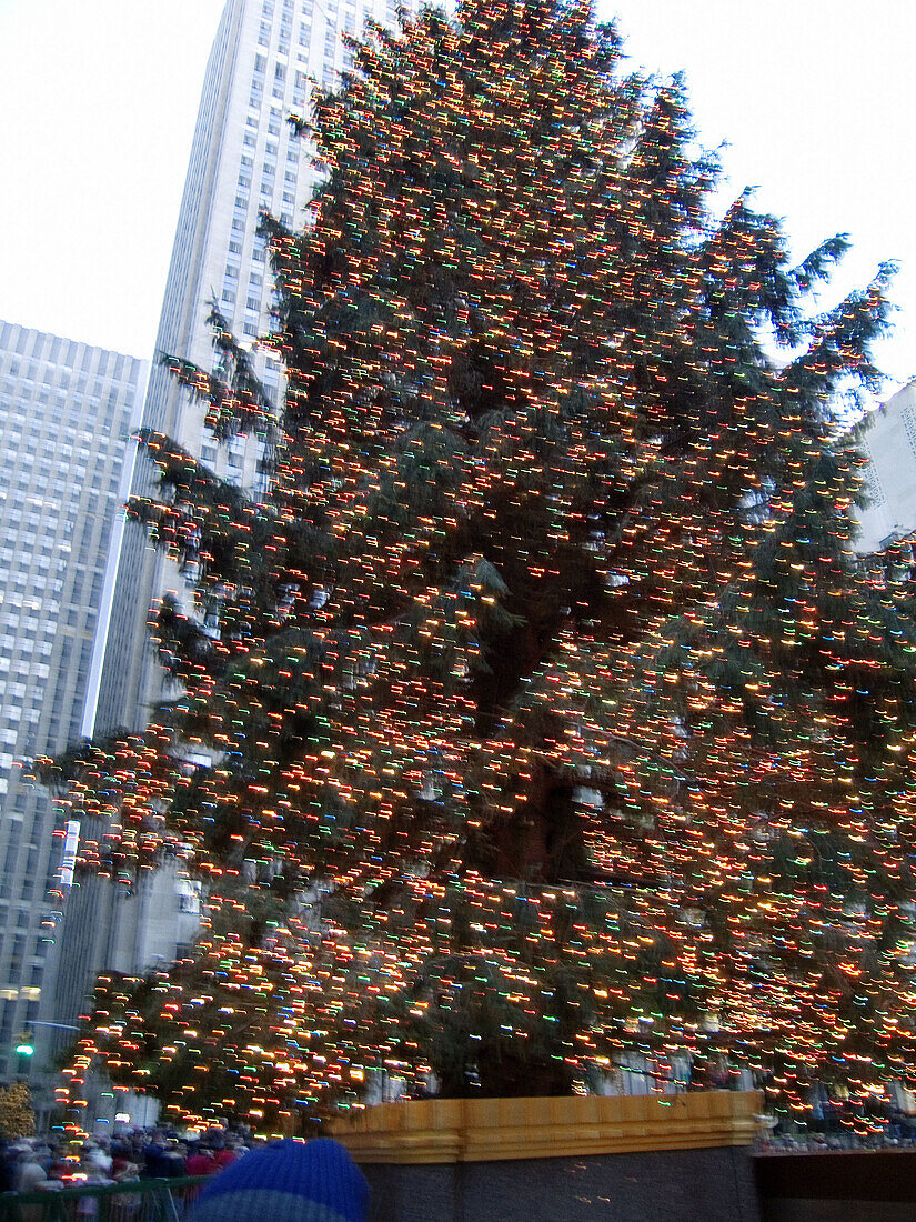 Christmas in New York city. USA.
