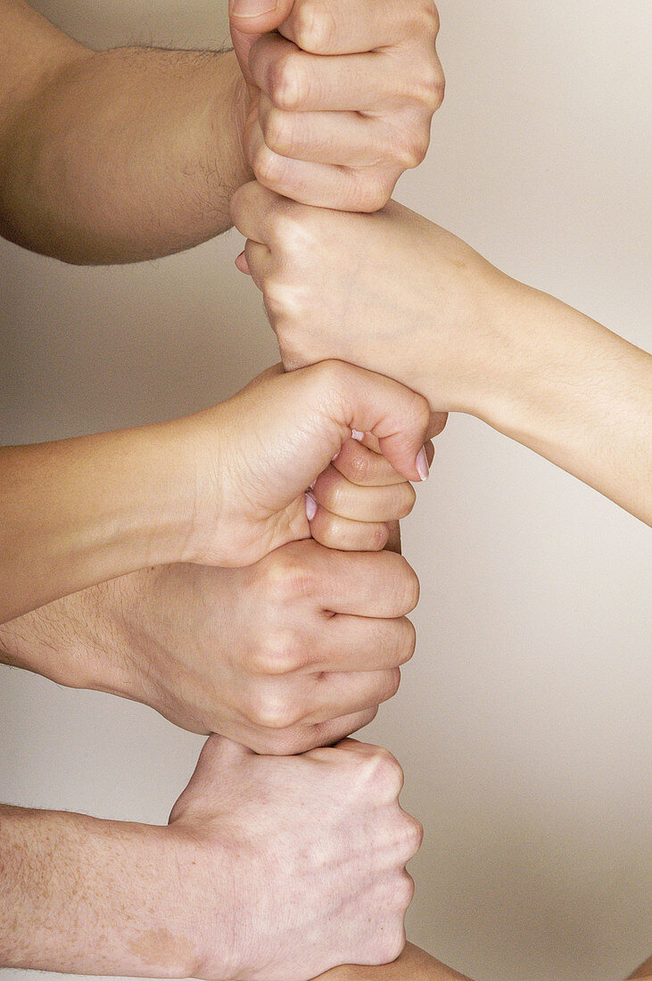 Eight Latino hands.