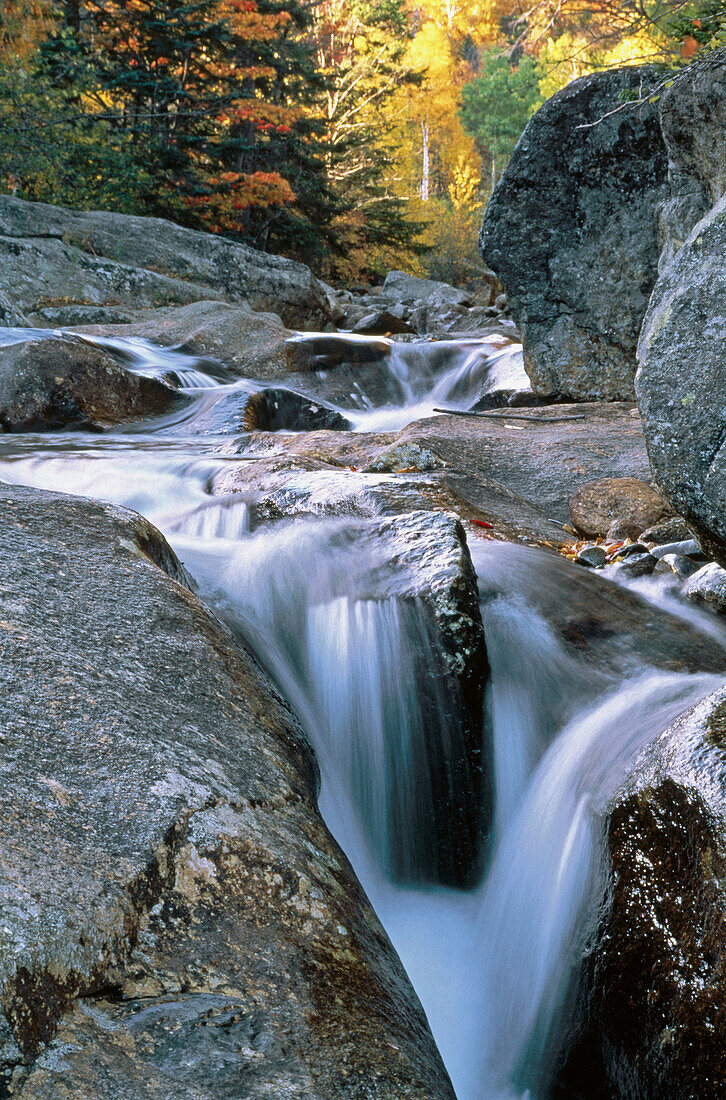Stream. White Mountains. New Hampshire. USA