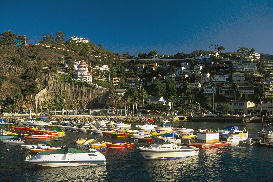 Homes on hill over Boats docked and anchored at Avalon Harbor. Avalon. Catalina Island. California. USA