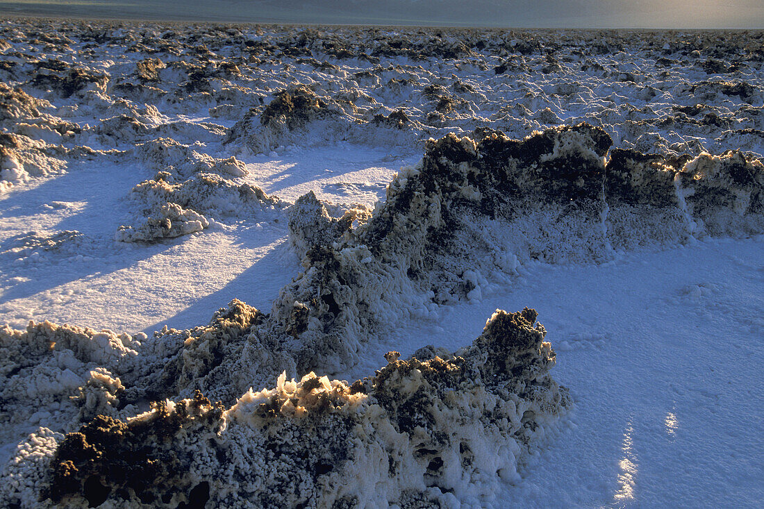 Sunrise light on evaporated salt pans at Devils Golf Course, Middle Basin, Death Valley, California