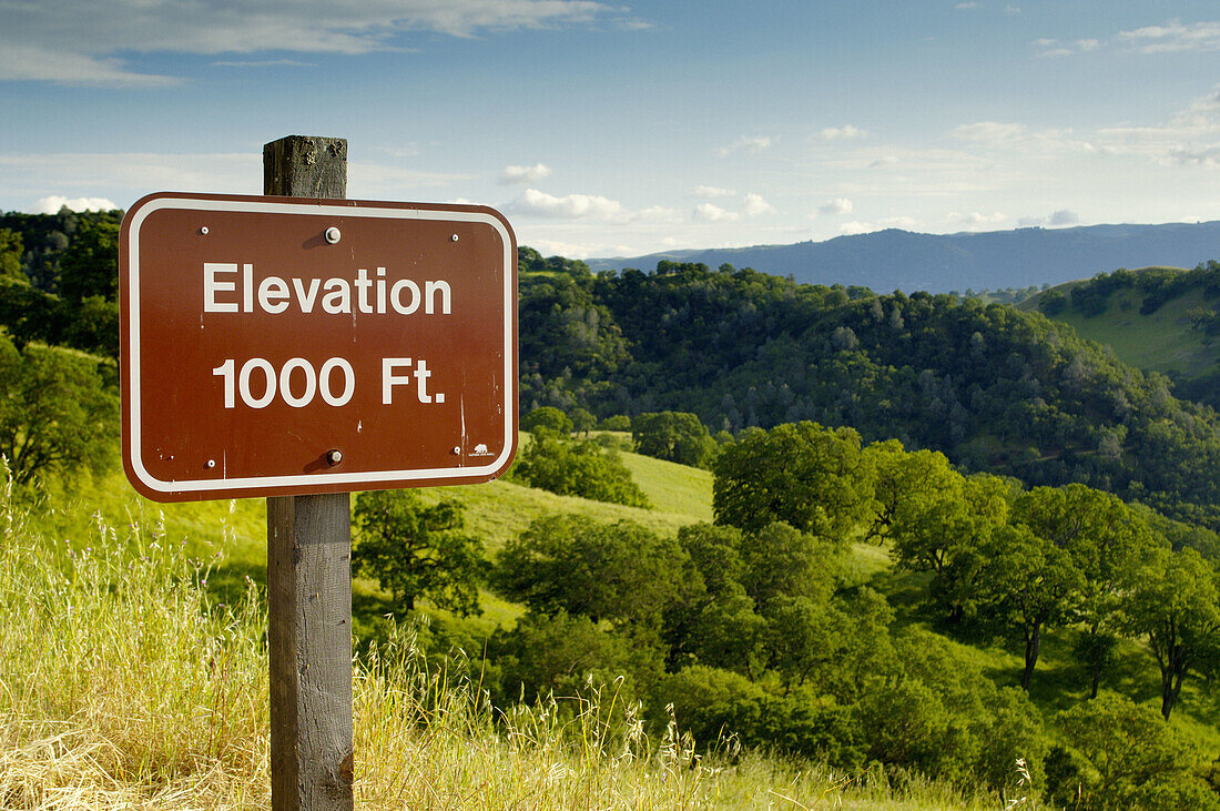 Elevation marker sign and rolling green hills and oak trees in spring, Mount Diablo State Park, California