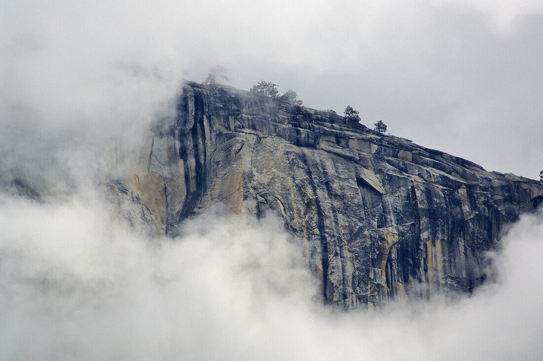 Clouds forming near the summit and sheer cliff walls of El Capitan, Yosemite Valley, Yosemite National Park, California