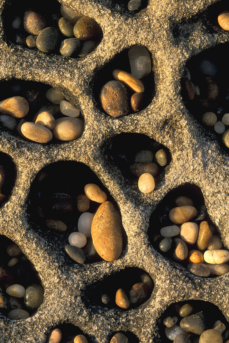 Small smooth stone rock pebbles caught in wind formed tafoni formation, Bean Hollow State Beach, San Mateo Coast, California