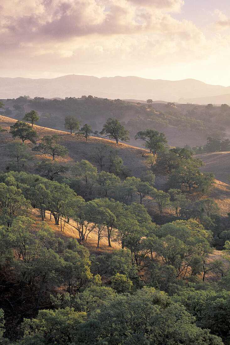 Clouds at sunset over golden hills and oak trees, Mount Diablo State Park, Contra Costa, California