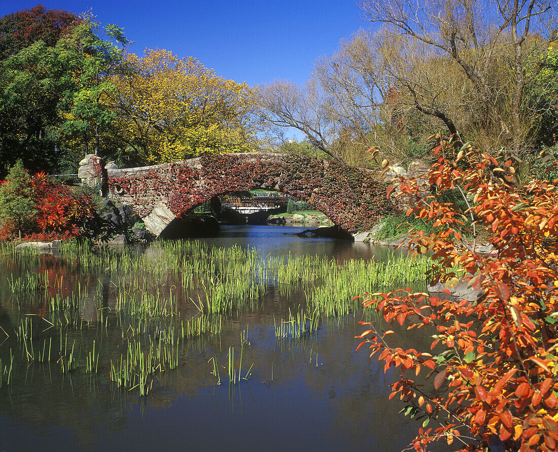 Fall foliage, Capeshaw bridge, Pond, Central park, Manhattan, New York, USA.