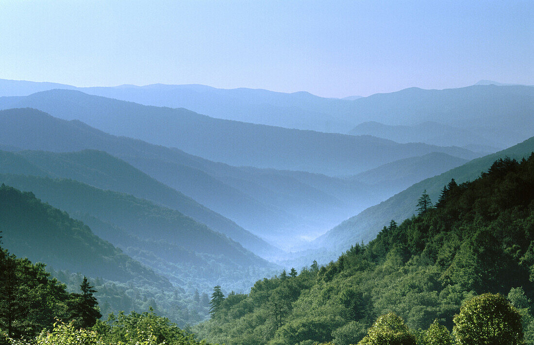 View from Newfound Gap Road, Great Smoky Mountains National Park. North Carolina, USA