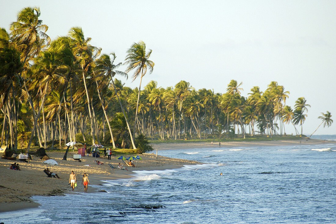 Tourists relax at Forte s beach. Bahia, Brazil