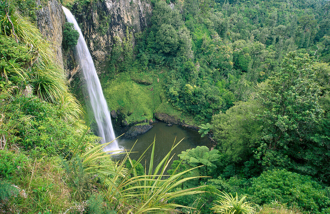 Bridal Veil Falls. Waikato, North Island. New Zealand