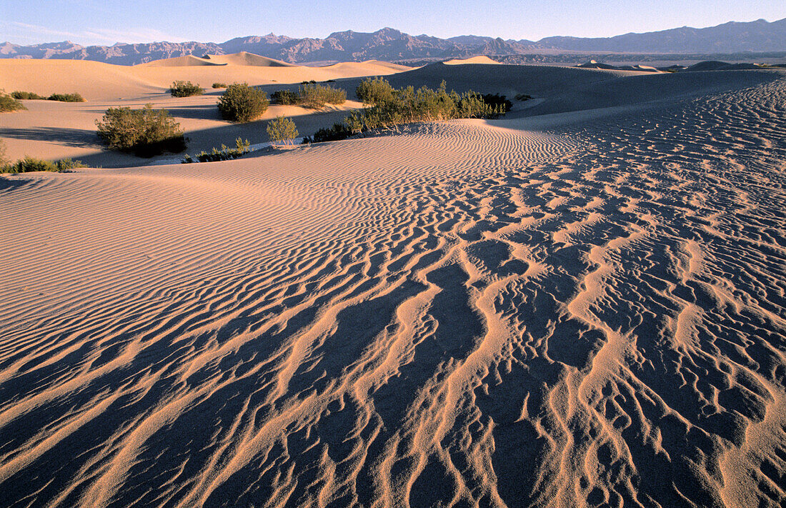 Death Valley NP. California. USA.