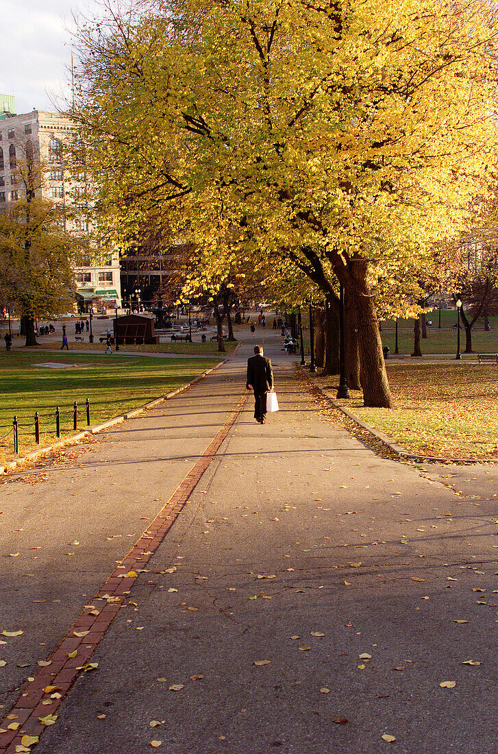 Woman walking through the Boston Commons in Boston. Massachusetts. USA