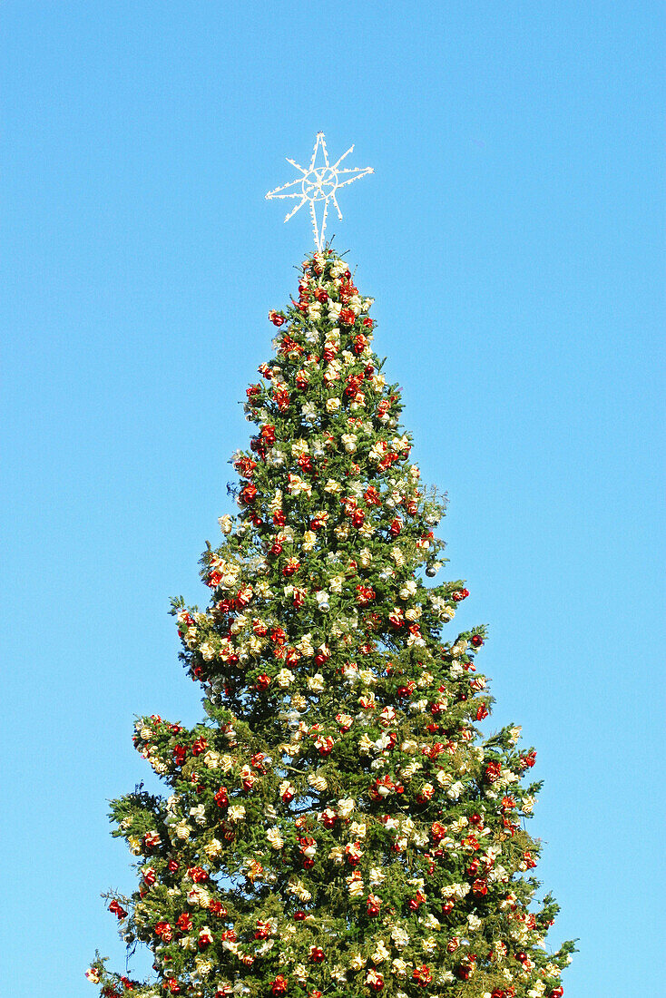 Christmas tree