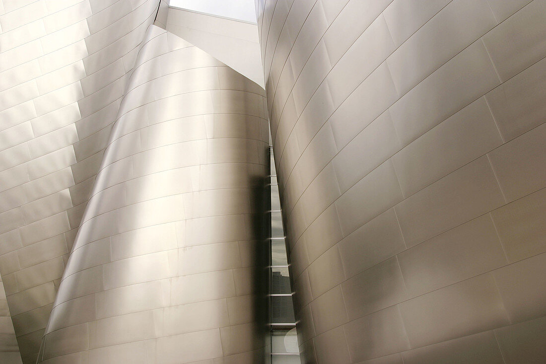 Walt Disney Concert Hall (1987-2003) by Frank Gehry. Los Angeles. USA