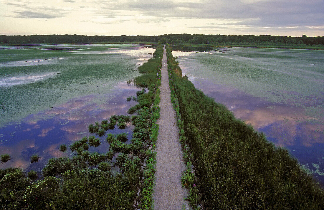 Great Meadows National Wildlife Refuge, which stretches more than 10 miles along the Concord River in Concord, Massachusetts. USA.