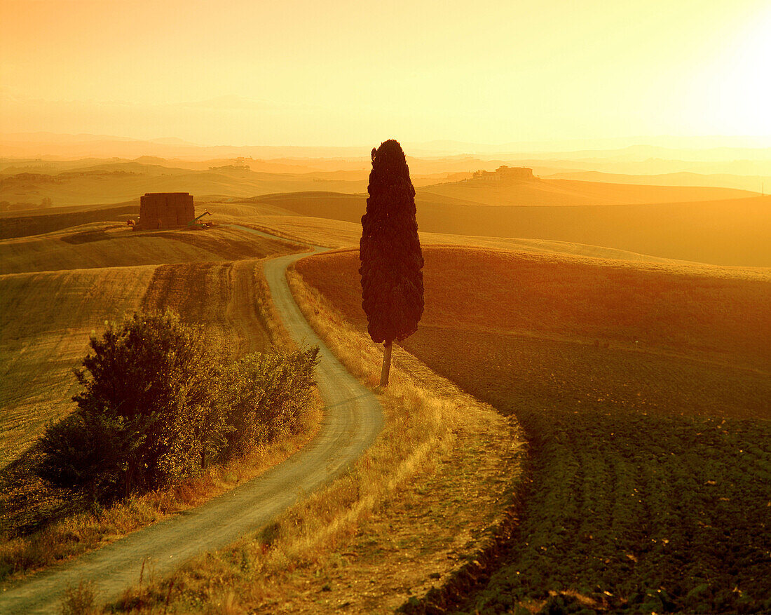 Le Crete sienese, Tuscan landscape at sunrise. Italy
