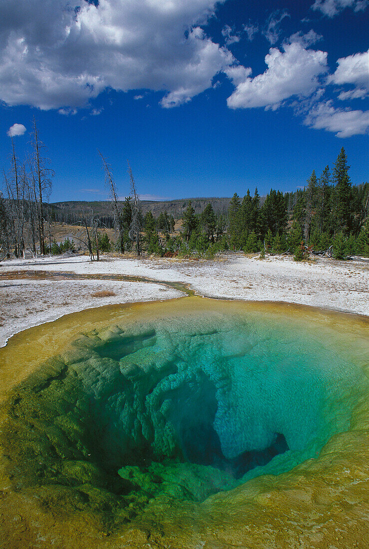 Morning Glory Pool. Yellowstone National Park. Wyoming. USA