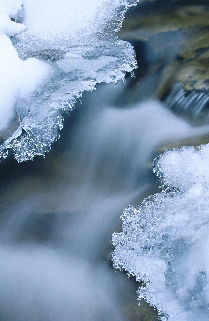 Ice formed on stream in winter. Highlands. Scotland. UK