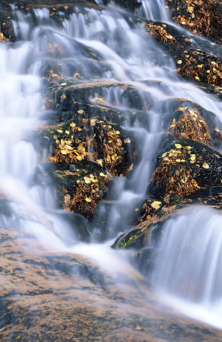 Waterfall and fallen autumn leaves. Cairngorms National Park. Scotland. UK