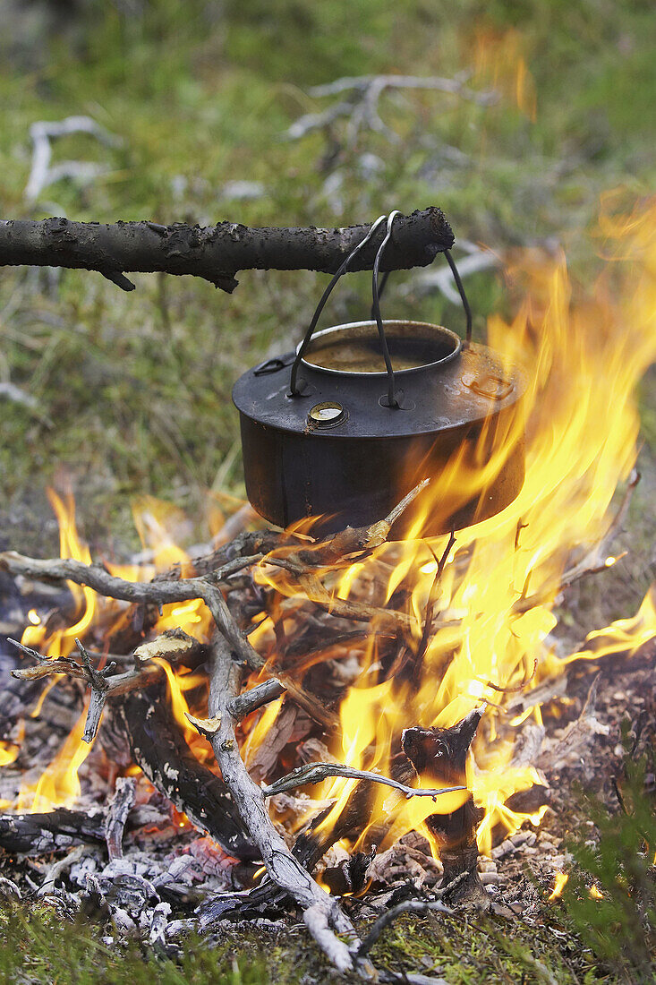 Boiling kettle of water over open camp fire. Norway. September 2005.