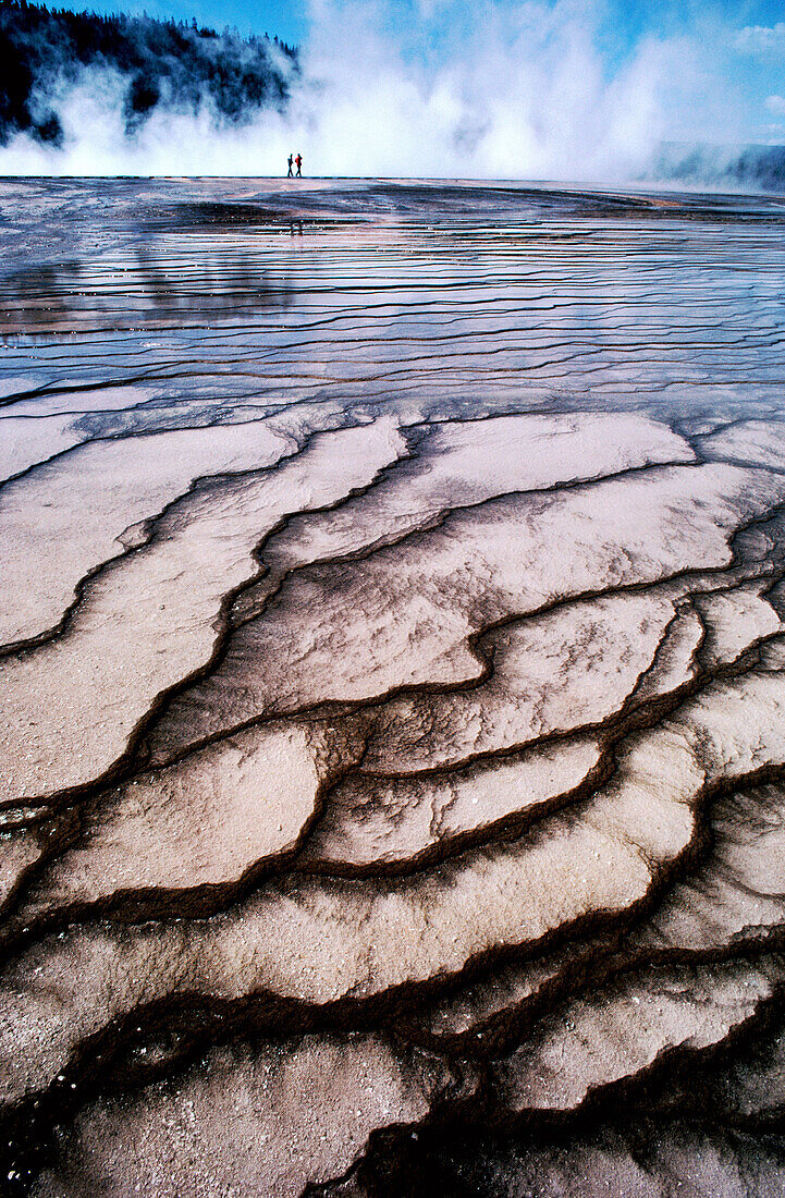 Midway Geyser Basin. Yellowstone National Park. Wyoming. USA