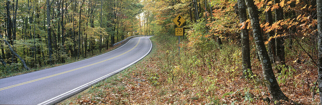 Road. Pocahontas county. West Virginia. USA