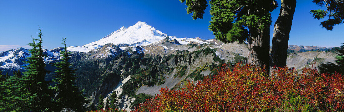 Mount Baker. Mount Baker-Snoqualmie National Forest. Washington. USA
