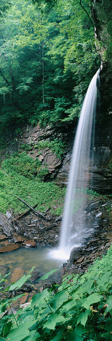 Lower Falls of Hills Creek. Monongahela National Forest. West Virginia. USA