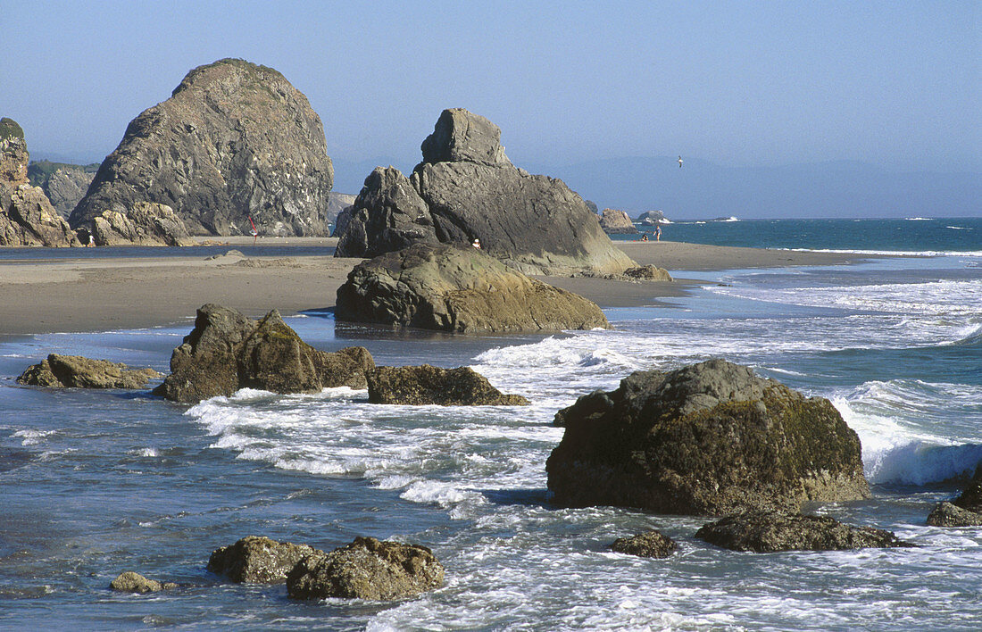 Rocky shoreline at low tide. Harris Beach State Park. Oregon, USA