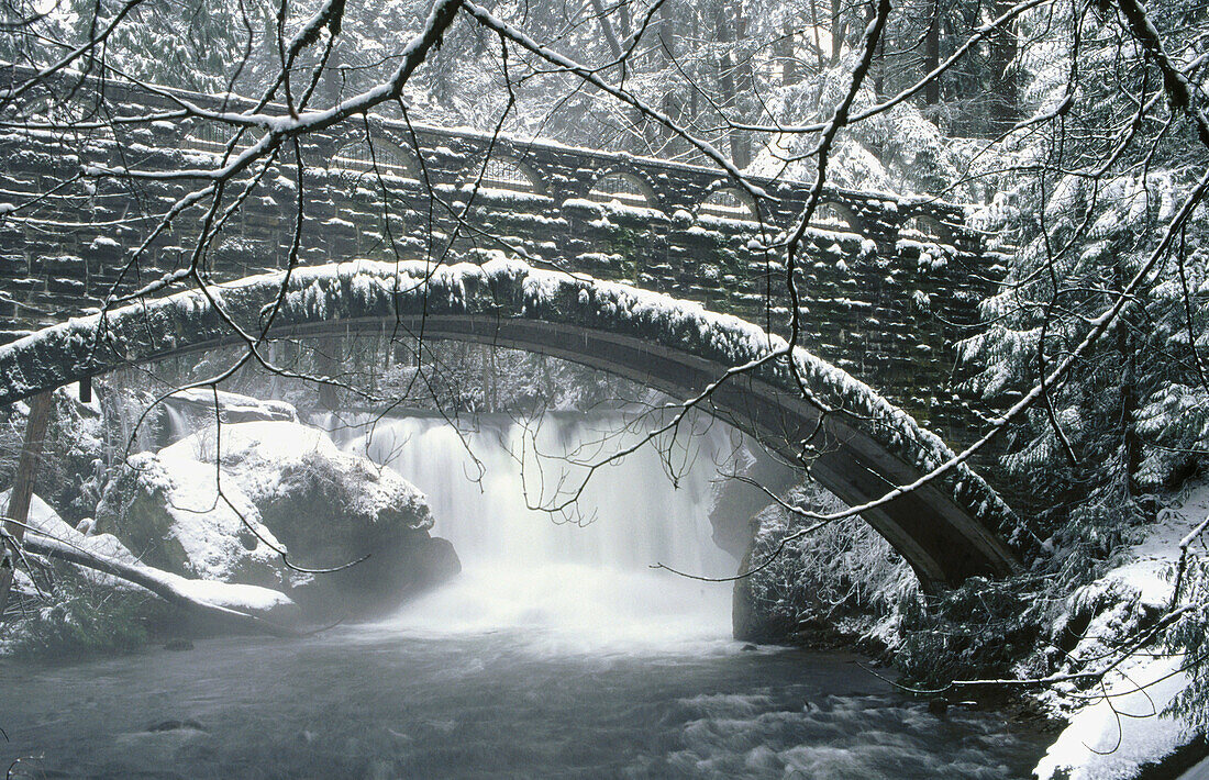 Stone foot bridge below Whatcom Falls from downstream. Whatcom Falls Park. Bellingham. Washington, USA