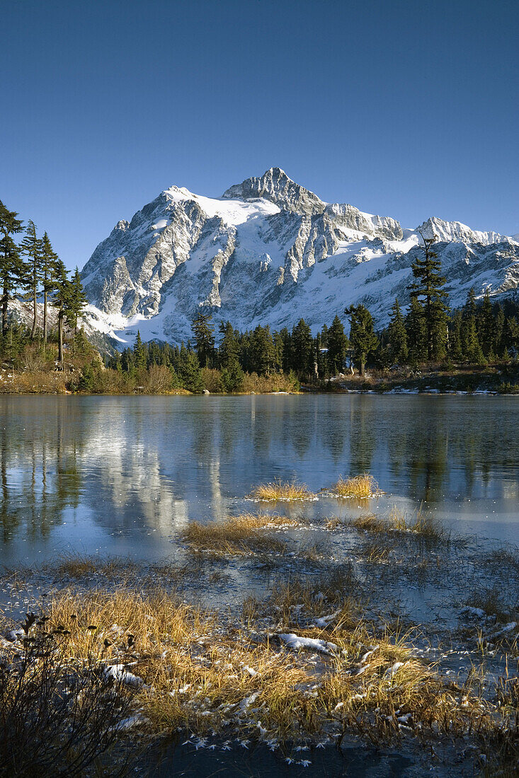 Mt. Shuksan reflected in thin skim of ice on Picture Lake, early winter w/ dry grasses fgnd. Mt. Baker-Snoqualmie NF Heather Meadows, WA.