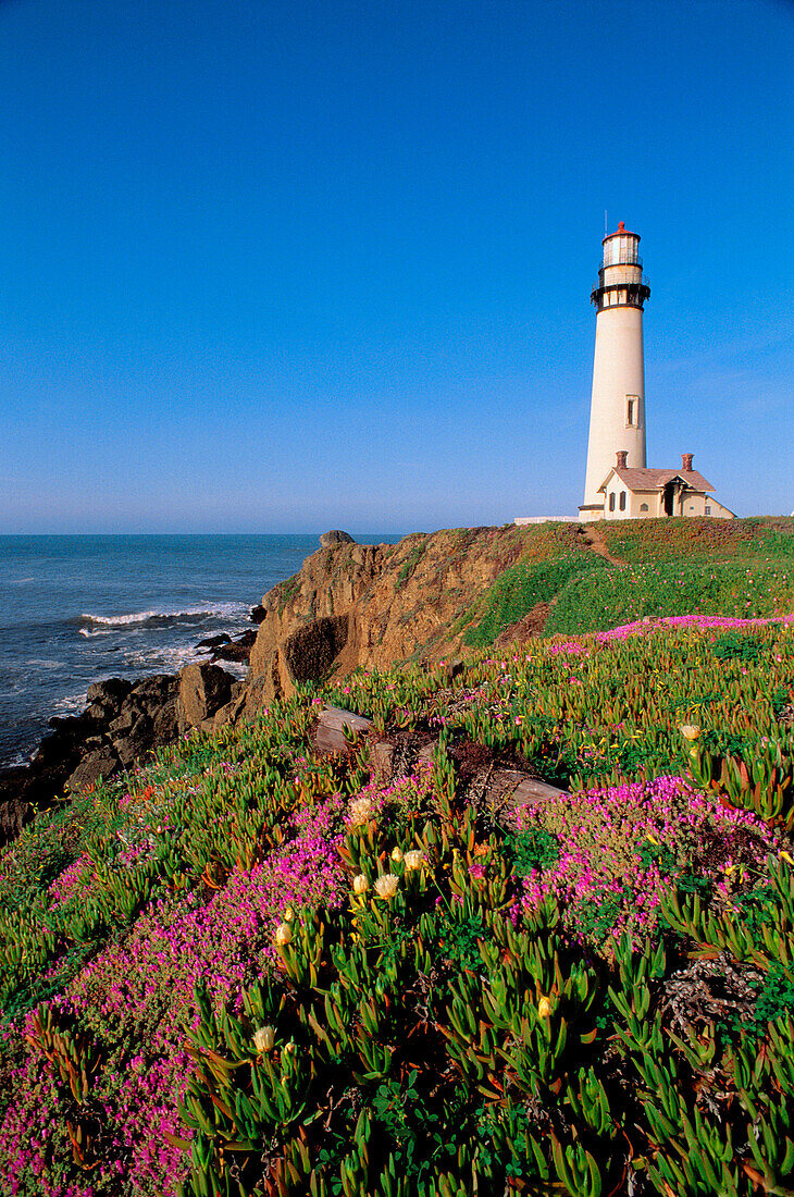 Lighthouse. Pigeon Point. California coast. USA