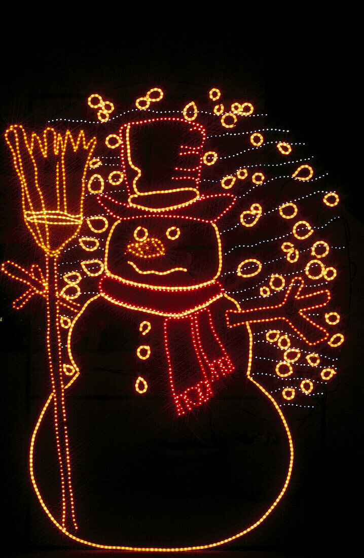 Christmas holiday lights in Alburquerque Biological Park. New Mexico, USA