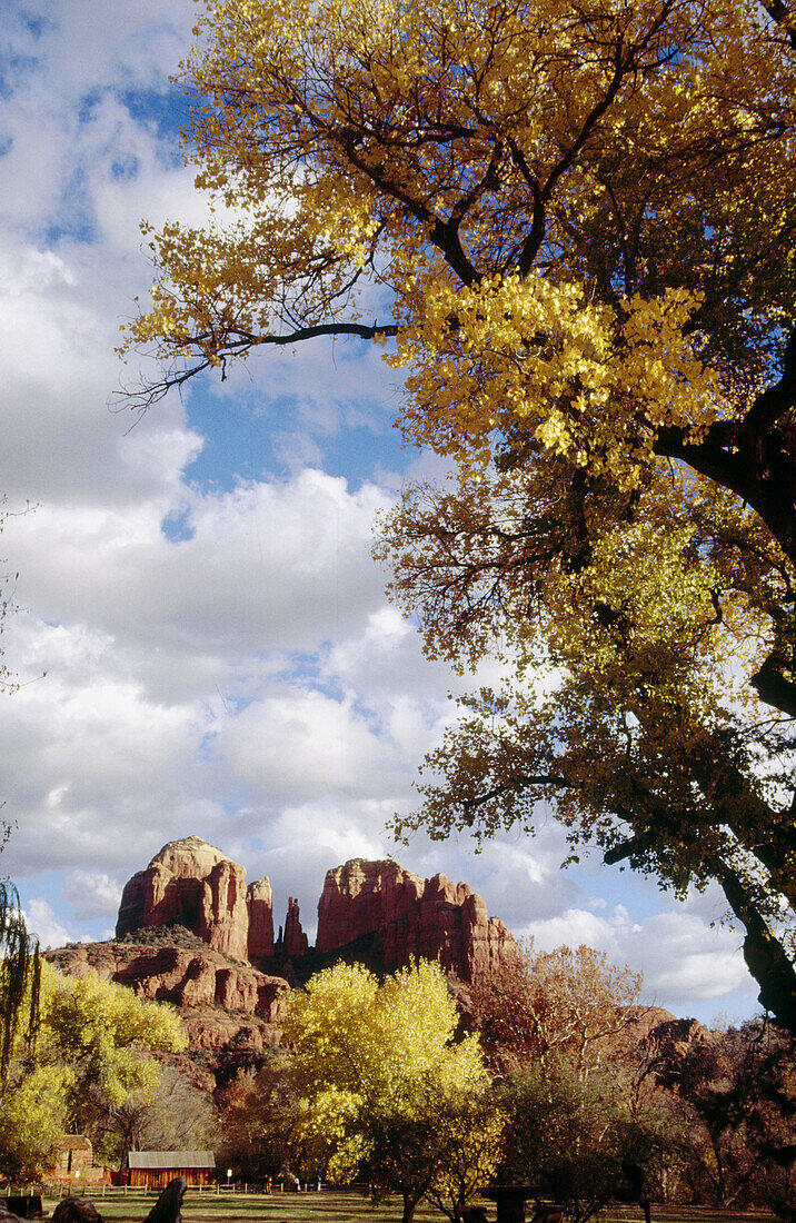 Cathedral Rock. Red Rock State Park, fall. Sedona. Arizona. USA.