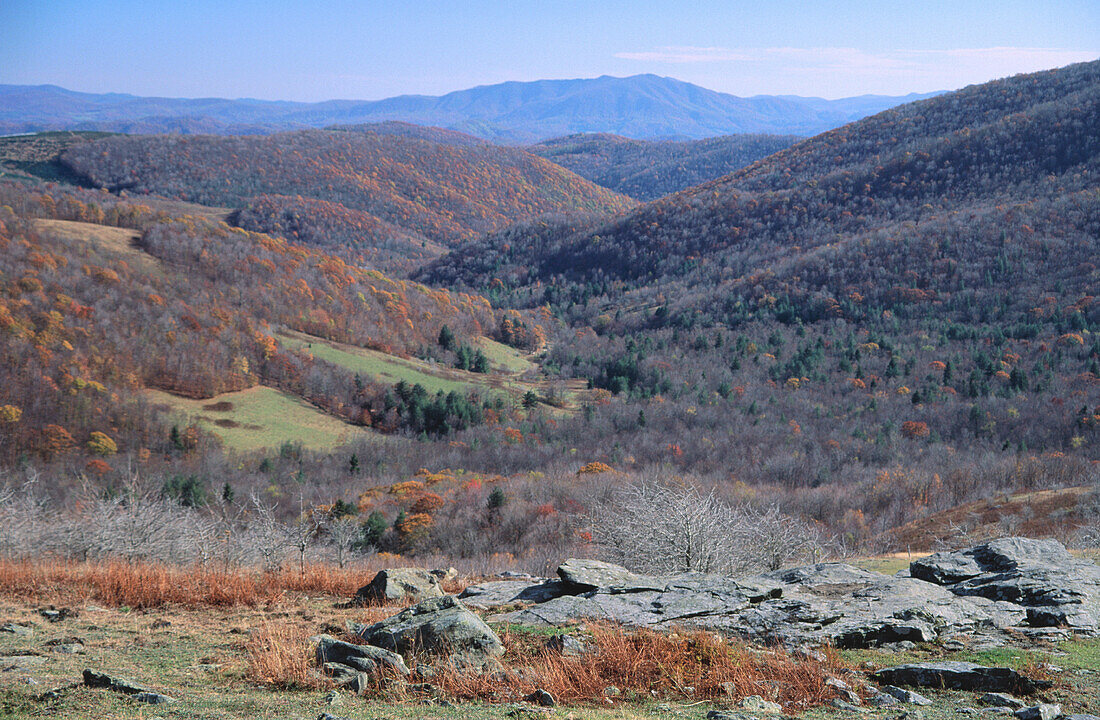 View from Appalachian Trail. Mount Rogers National Recreation Area. Virginia. USA