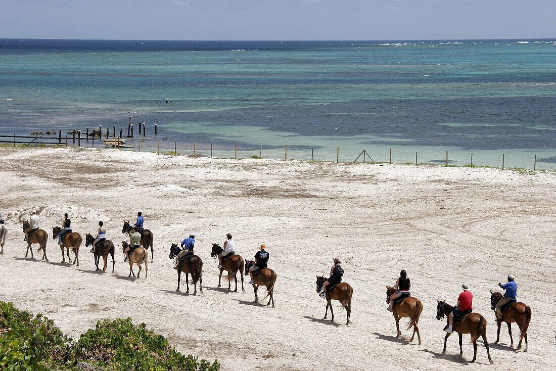 Atlantic Ocean, Indigenous Horse Shelter, horseback riding, beach. Grand Turk. Turks and Caicos.
