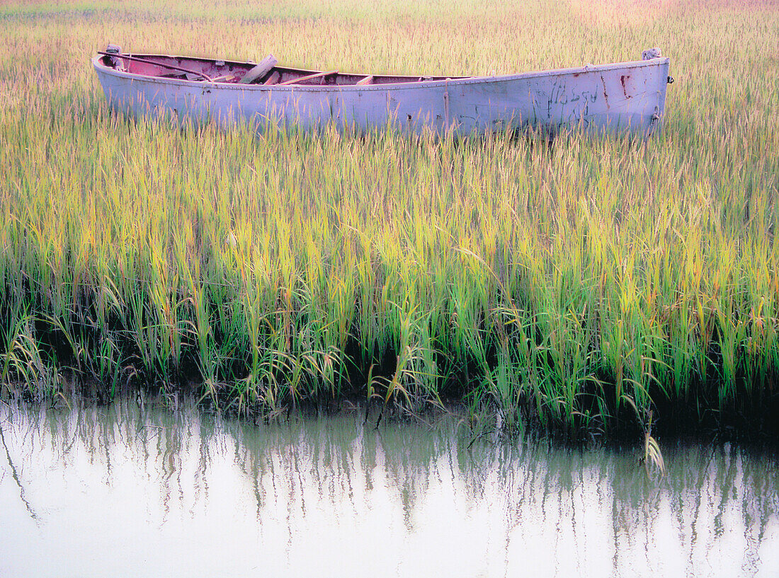  Abandoned, Abandonment, Boat, Boats, Calm, Calmness, Color, Colour, Concept, Concepts, Daytime, Exterior, Float, Floating, Grass, Grasses, Horizontal, Lake, Lakes, Leisure, Mood, Nature, Navigation, Nobody, Outdoor, Outdoors, Outside, Peaceful, Peacefuln