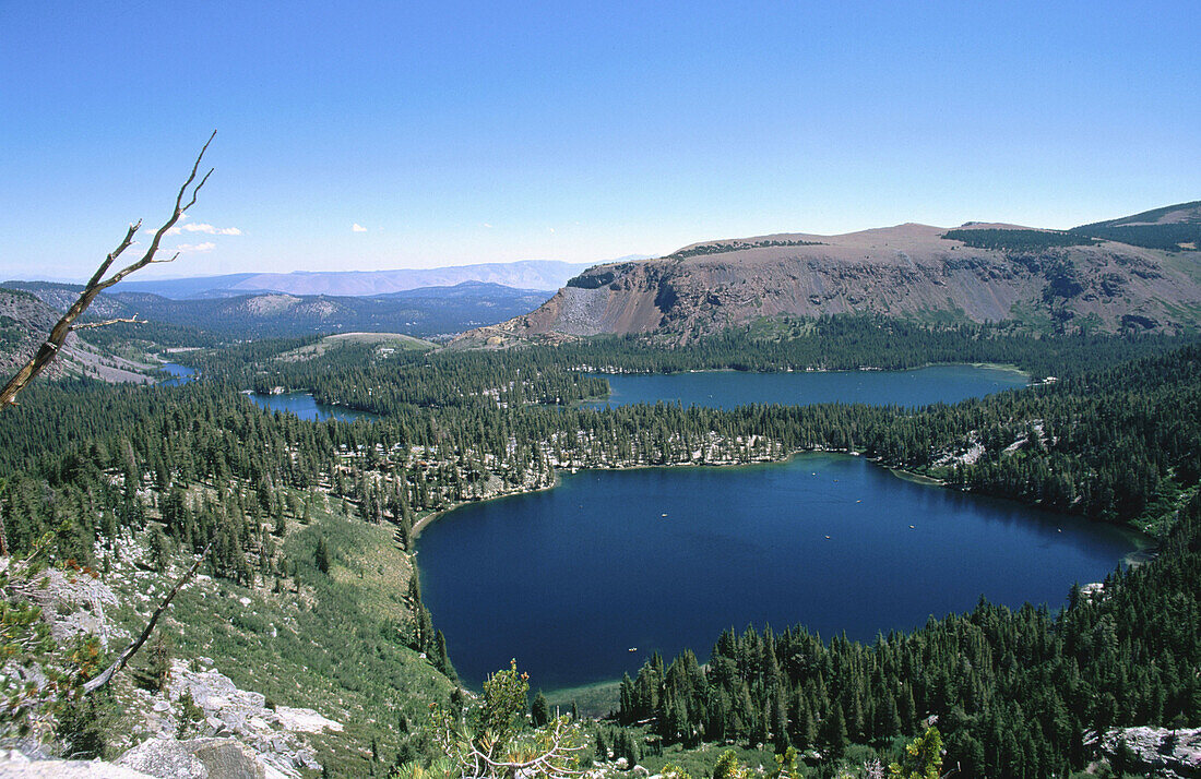 Mammoth Lakes, Eastern Sierras. California. USA