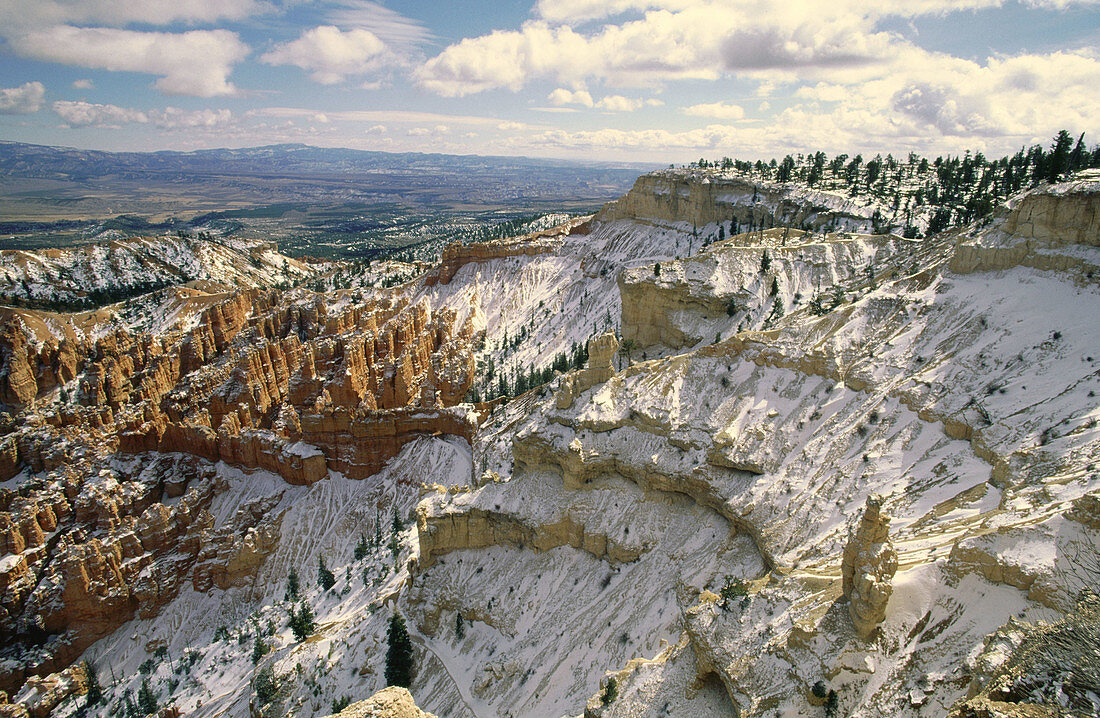 Bryce Canyon National Park. Utah. USA