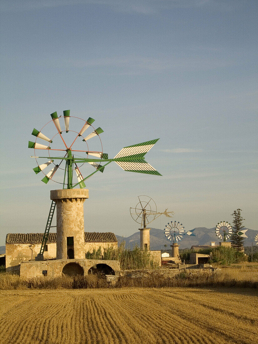 Typical windmill. Pla de Sant Jordi. Palma de Mallorca. Mallorca. Balearic Islands. Spain.
