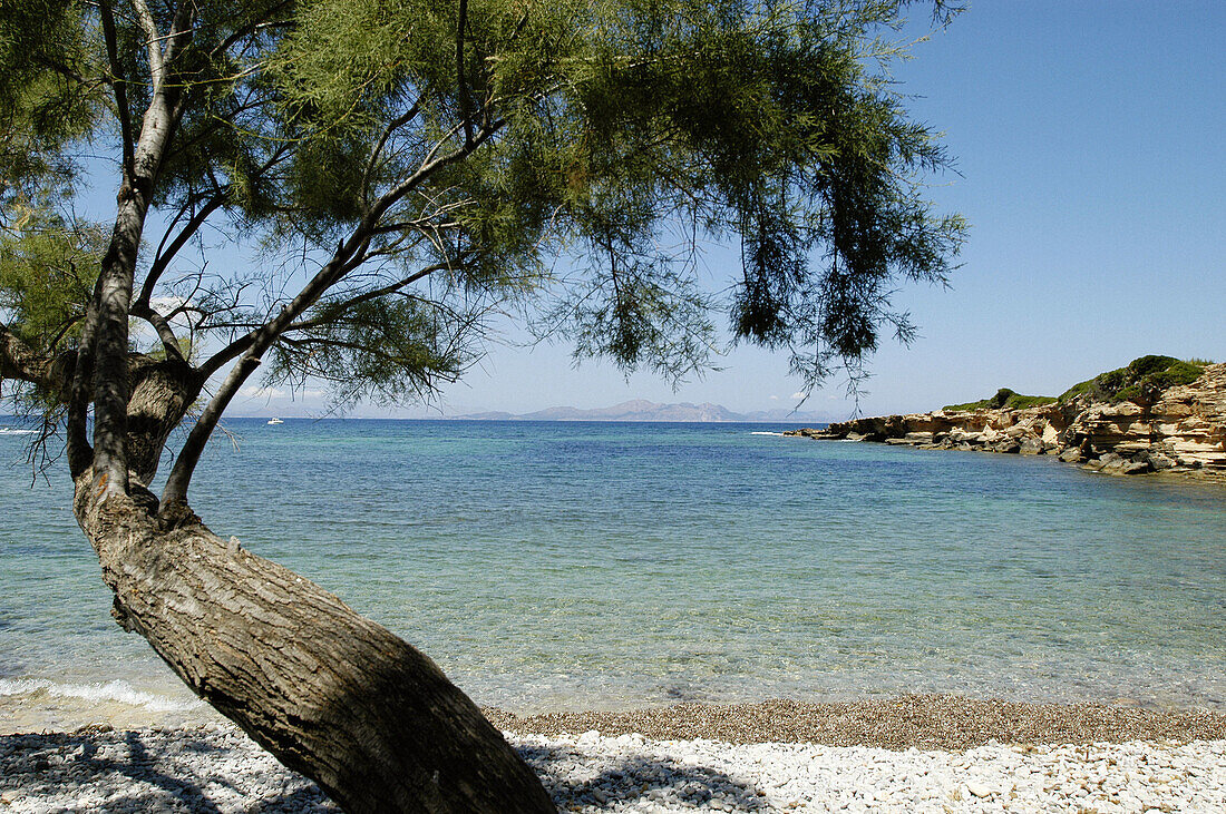 Arta. Coastline of Colònia de Sant Pere. Mallorca. Balearic Islands. Spain.