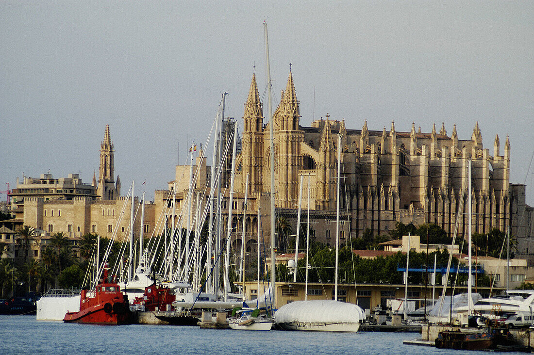 Cathedral view. Sunset at the Palma bay. Mallorca. Balearic Islands. Spain.