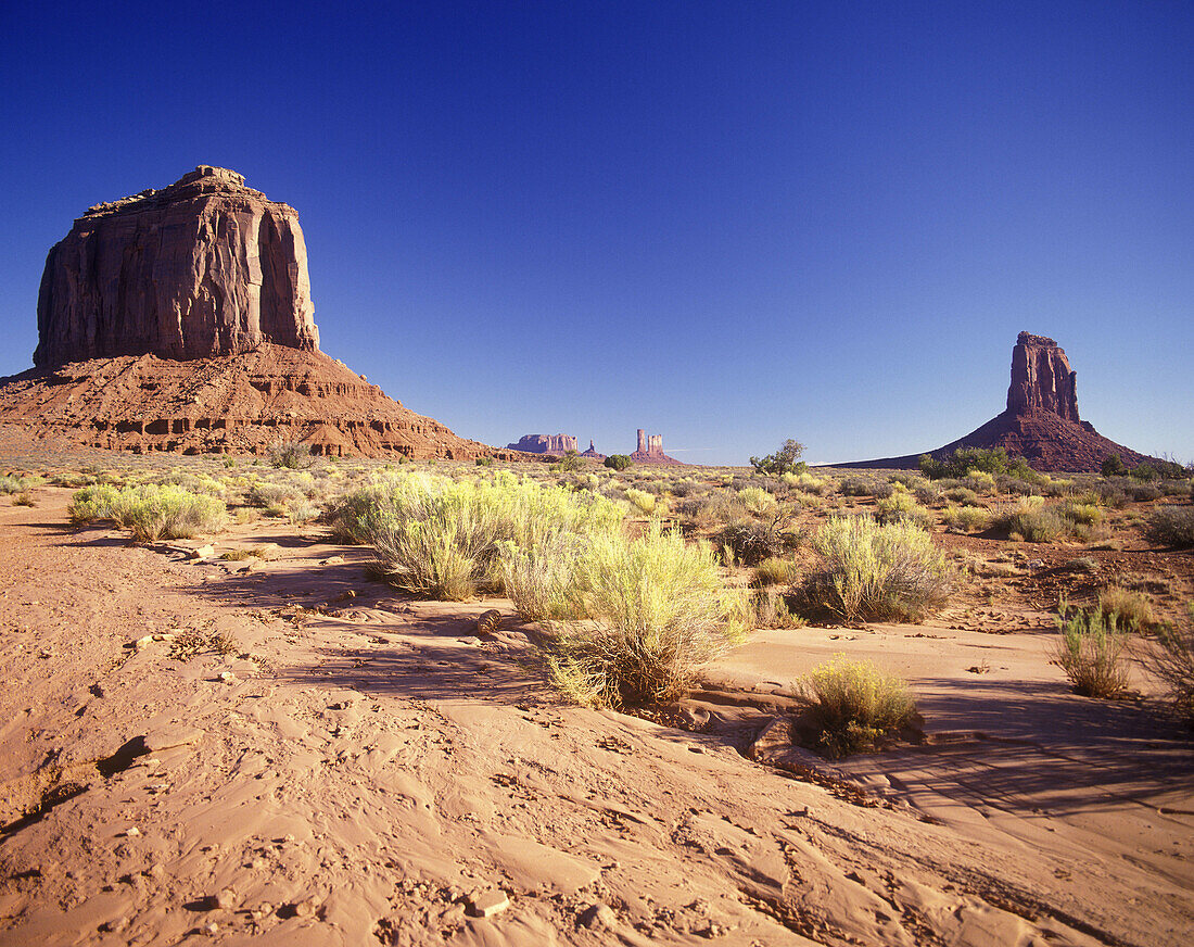 Scenic buttes, Monument valley navajo tribal park, Utah/arizona, USA.