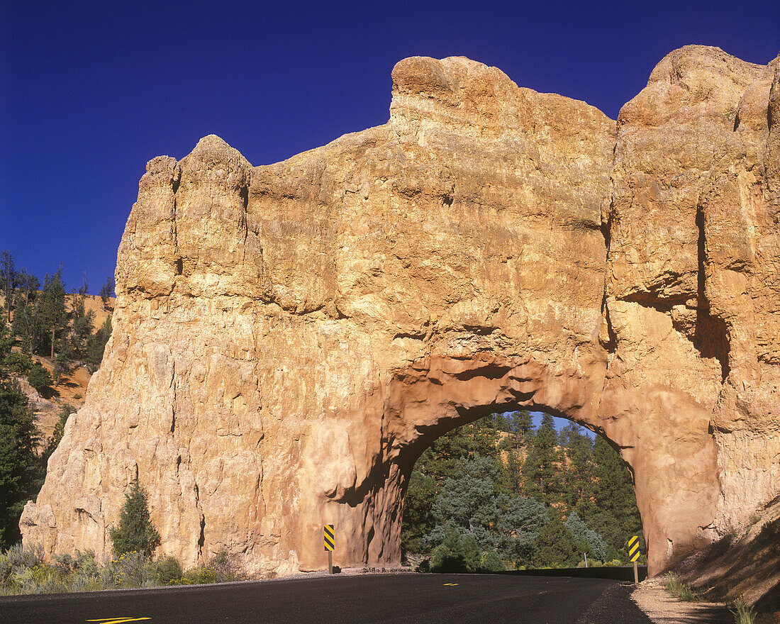 Road: red canyon, Bryce canyon national park, Utah, USA.