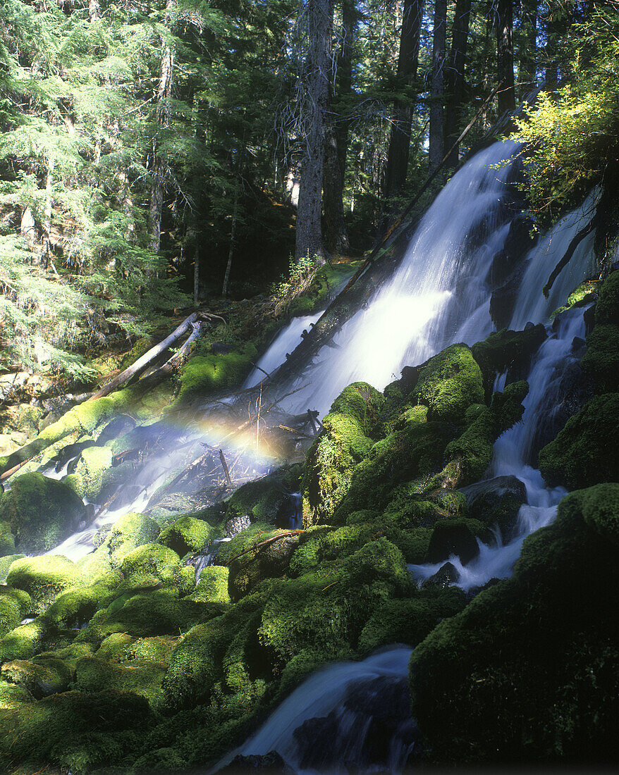 Scenic clearwater waterfall, Umpqua river, Oregon, USA.